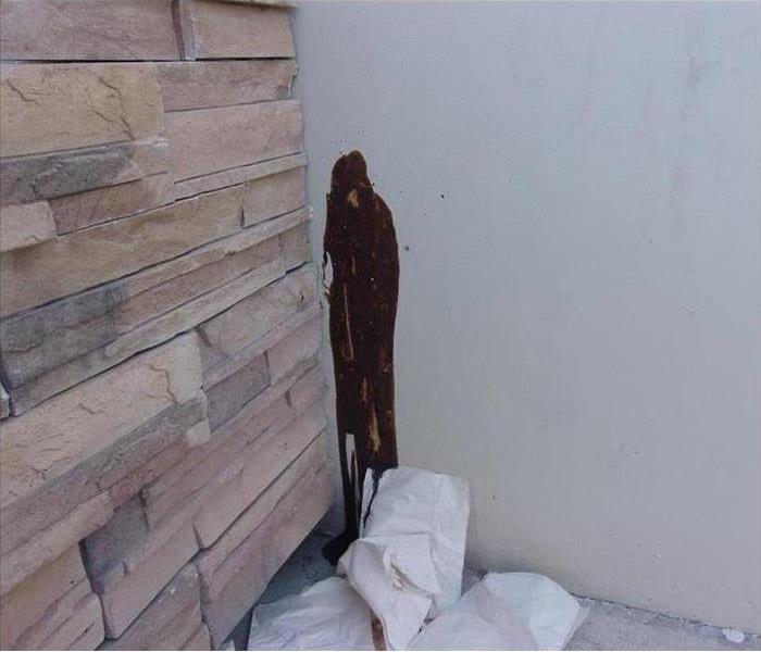 poop on wall