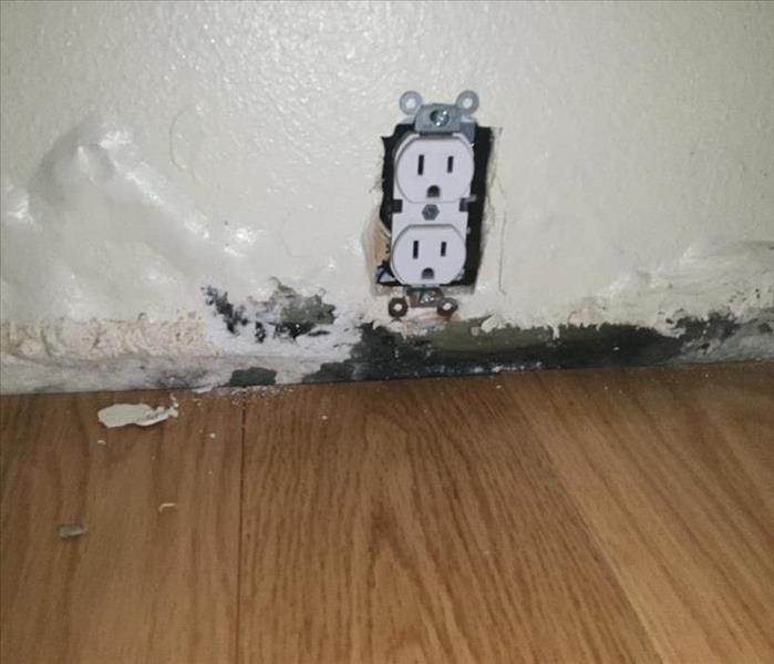 Mold on wall with an outlet 